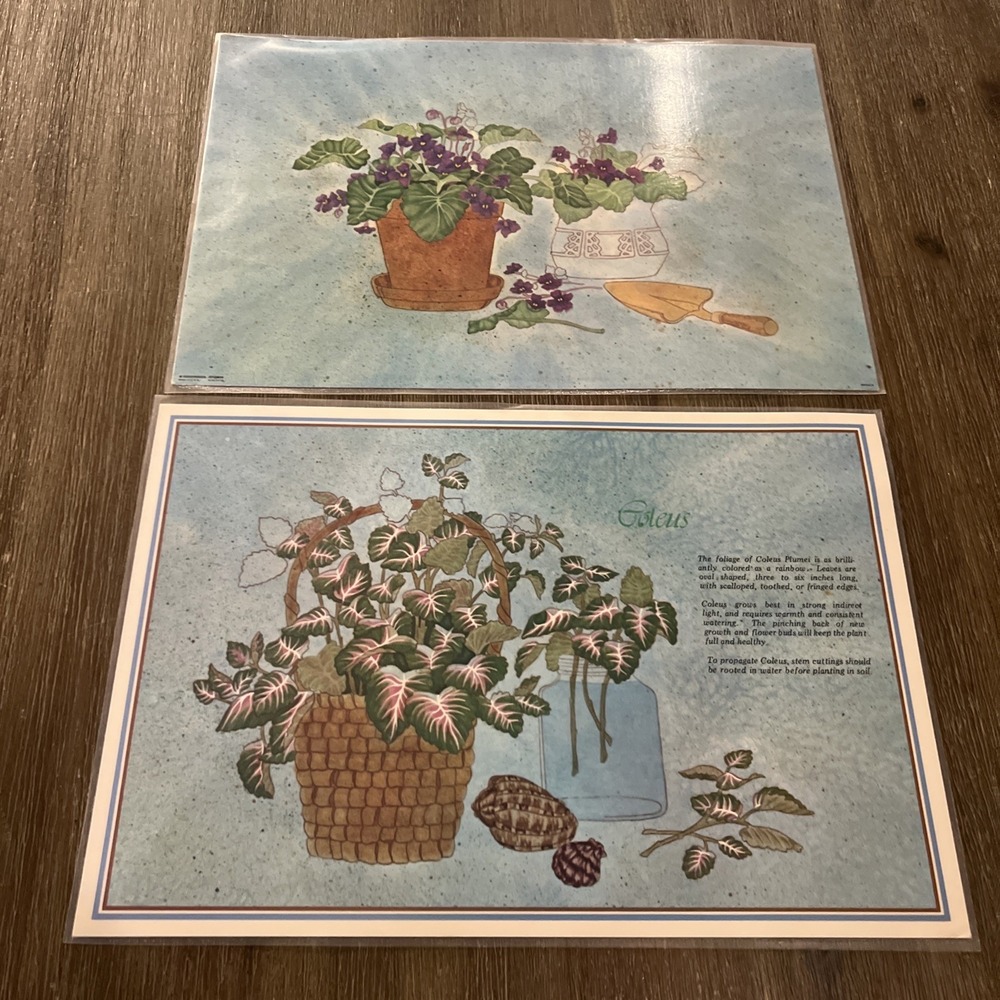 Vintage 1970s/80s Retro Flower Basket Washable Placemats-2 Table Setting